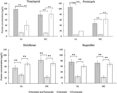 Characterisation of Two Wood-Waste and Coffee Bean Husk Biochars for the Removal of Micropollutants from Water